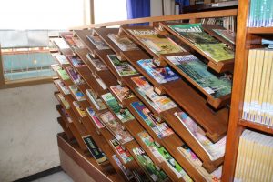 Read more about the article Pengumpulan Buku Perpustakaan
