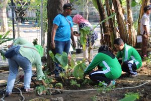 Read more about the article Action POT ARSIMBO